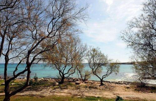 aptsmile sillot - Foto 38