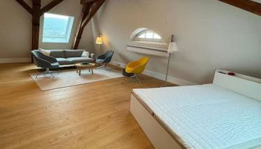 Luxus-Penthouse in Heidelberg - Foto 5