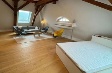 Luxus-Penthouse in Heidelberg - Foto 5
