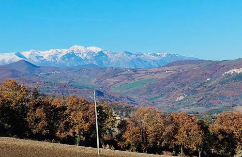 COUNTRY HOUSE - Foto 40