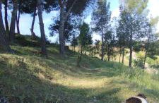 Casa Rural MONTE VERDE - Photo 6