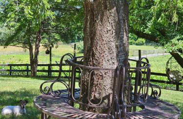 Vinewood Estate & Adventures - Foto 10