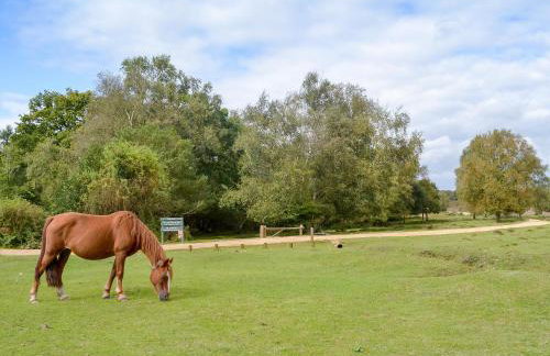 Brookside Cottage - Photo 21