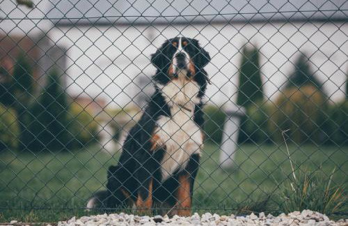 Agroturystyka Nad Łąkami - Foto 48