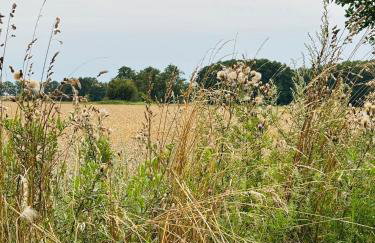 Heiderast Wipperau - Photo 30