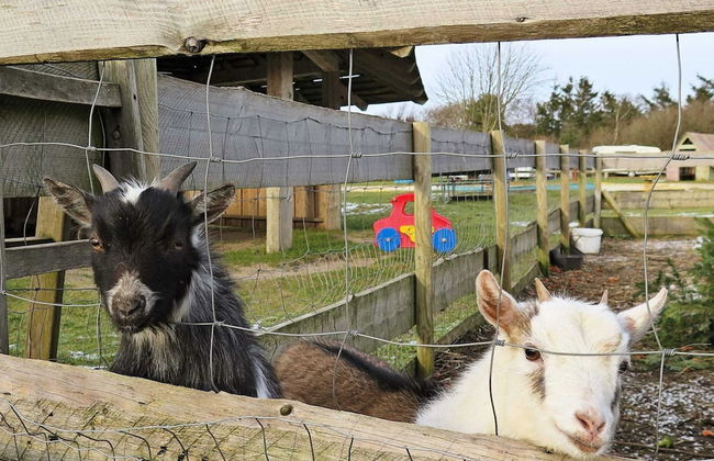 6 Person Holiday Home in Struer-by Traum - Foto 37