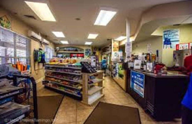 Olaf's Endless Summer - Foto 36