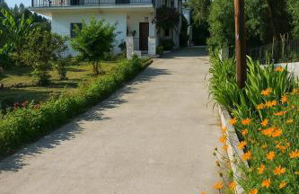 Secluded Serenity - A Tranquil Suite in Corfu - Foto 14