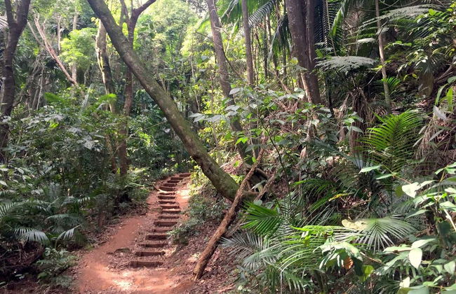 Jaragua Park Private Hiking Experience - Foto 2