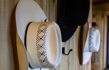 A tiny piece of heaven, stunning sea views hot tub - Foto 42