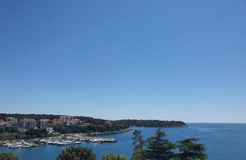 Apartman Mare Pjescana Uvala - Foto 5