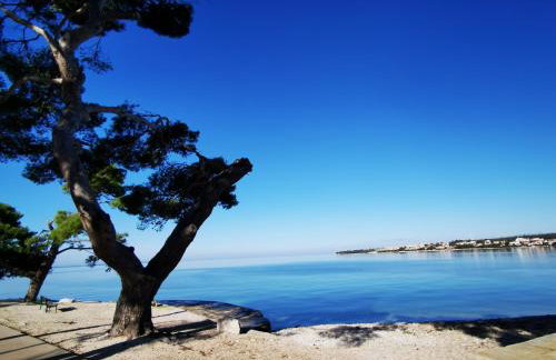 Residence Family Plazina - Place 1 & 2 - Foto 24