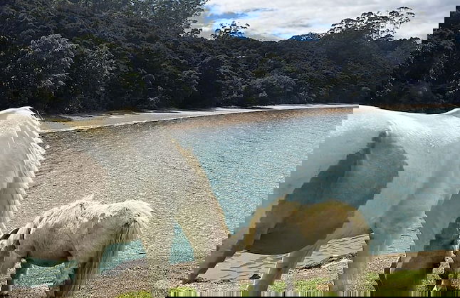 Driftwood Seaside Escapes - Foto 27