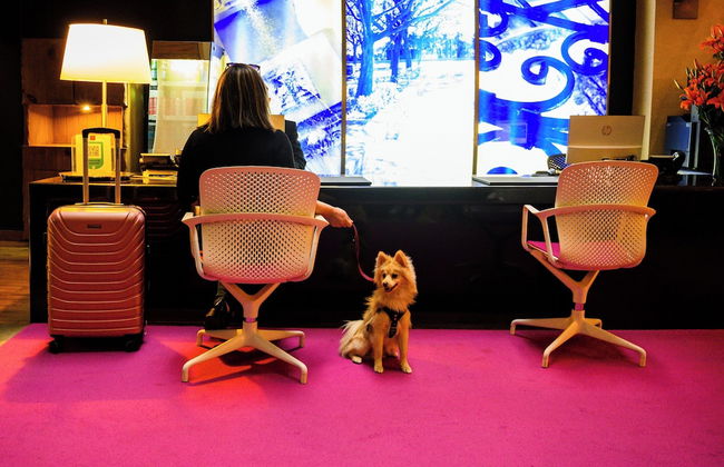 Las Suites Campos Eliseos - Foto 61