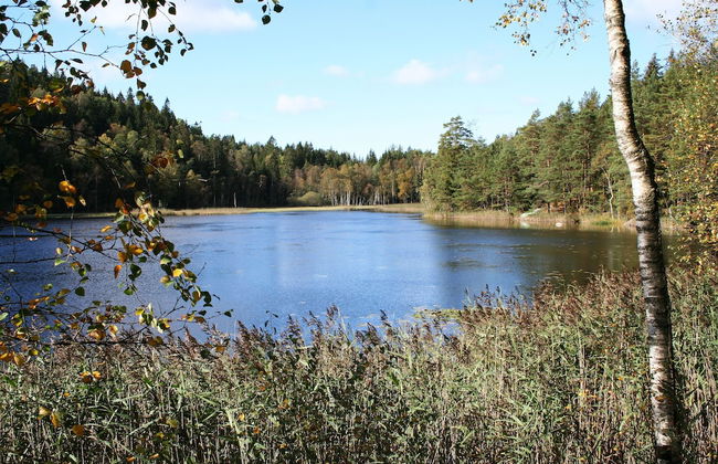 Björsjödal - Foto 75