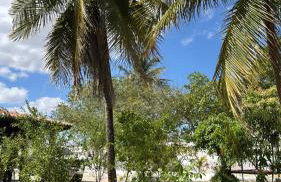 Chácara Rbs - Foto 31