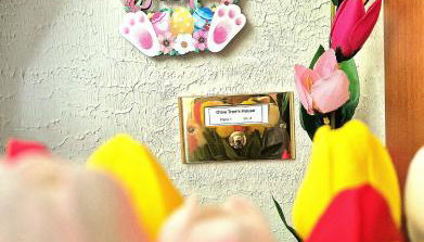 Olive tree's house - Foto 5