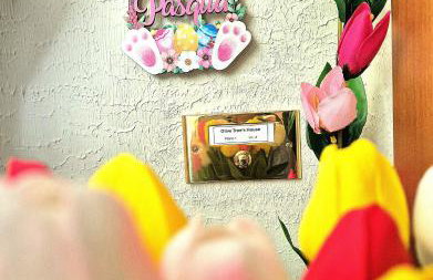 Olive tree's house - Foto 9