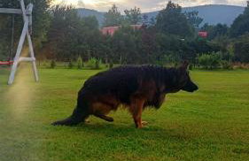 Mogielicki Zakątek - Photo 13