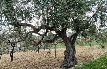 Rifugio Contemporaneo - Foto 30