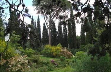 Al Giardino Degli Etruschi - Foto 27