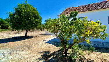 Idyllic, Charming Quinta das Laranjeiras - Foto 2