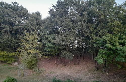 I Tre Lecci - Photo 40