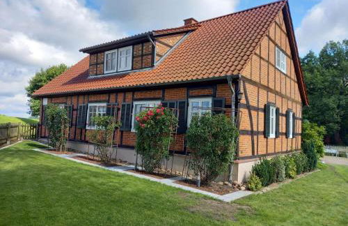 Holiday Home Haus Elbrose inmitten von Rosen mit Elbdeichzugang by Interhome - Foto 21