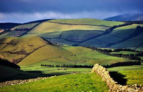 Cantinho do Cruzeiro das Lajes - Photo 36