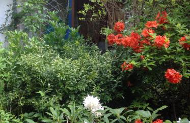 Au Coeur des Châteaux - Foto 22