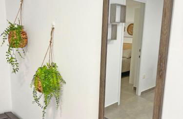 Reformado. Plaza de Toros. A/C - Photo 7