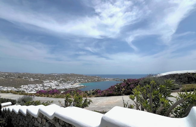 Psarou Summer Villa Mykonos - Photo 75