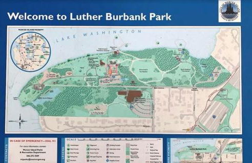 Mercer Island Modern Family-Friendly Home I-90 - Foto 48