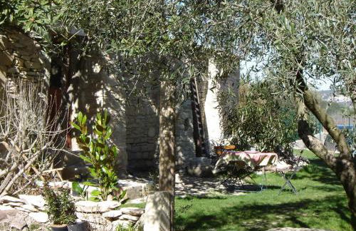 Mazaruelle - Photo 14