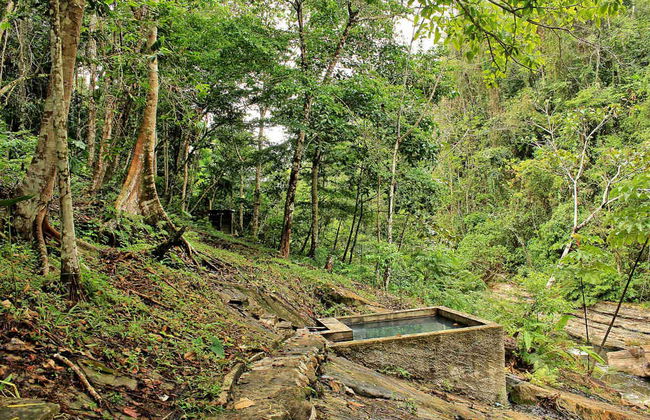 Excursión a Chazuta - Foto 4