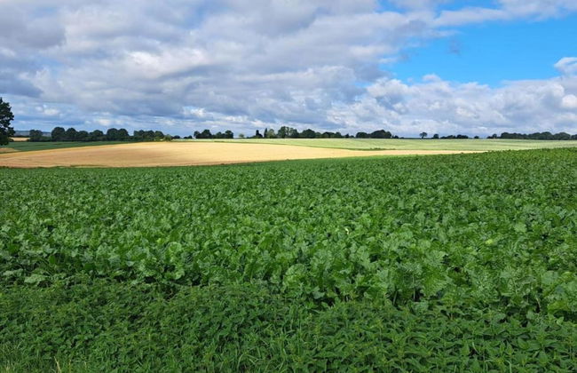 Holiday Home in Limburg Near Cafe 't Weverke - Photo 37