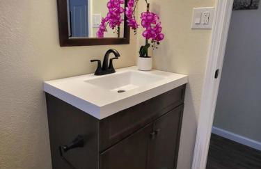 Country Roads 1BR apartment near TTU & downtown - Foto 14