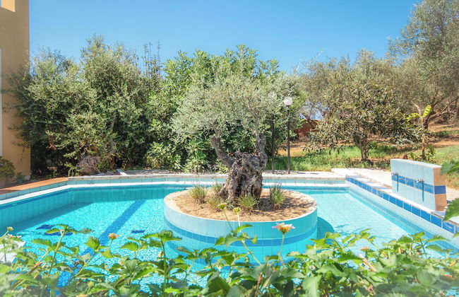 Olive Farm - Foto 34