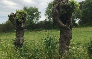 Le Ortensie Lago di Garda - Foto 63