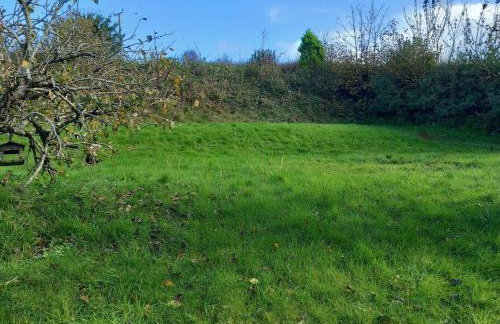 Rural Cornish farmhouse - Foto 18