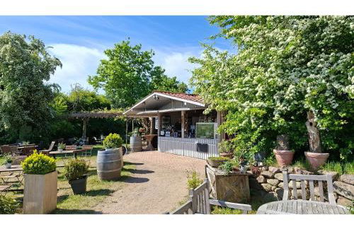 Obst- und Weingut Ingenhof - Foto 8