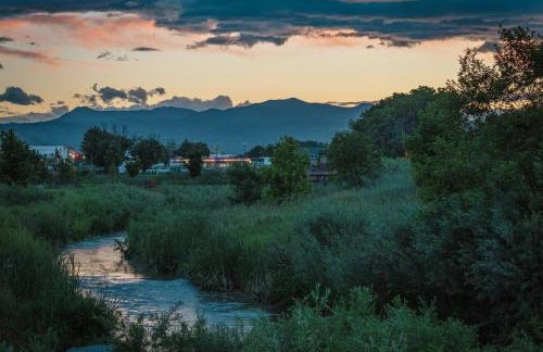 PingPong-YardGames-NewKitchen - Foto 8