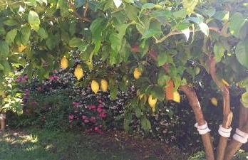 Villa Emma - Foto 49