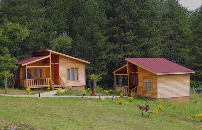 Koru Aura Mengen - Photo 9