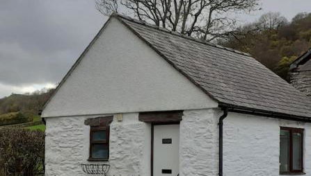 Y Llew Bach, the tiny house - Photo 1