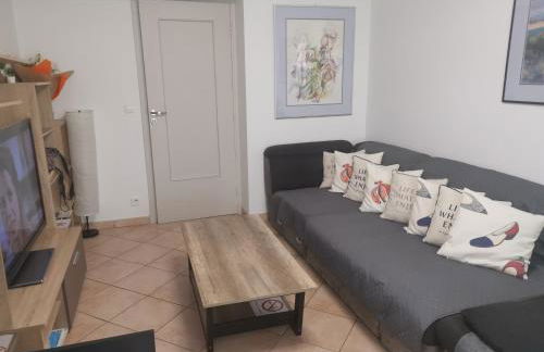The NICE - 3 rooms, 3air cond, 3TV, 3fans, 2 wc, WIfi everywhere 5min aeroport, train, beach, 1min tram, 15 min centre, port, parking possible - Foto 12
