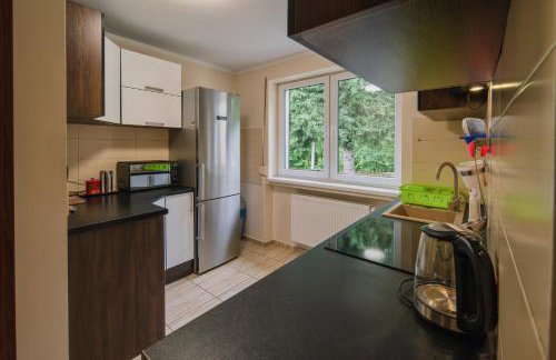 Zielony Zakątek Karpacz - Foto 18