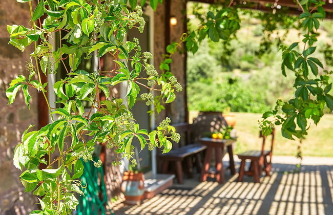 Authentic Cottage - Foto 24