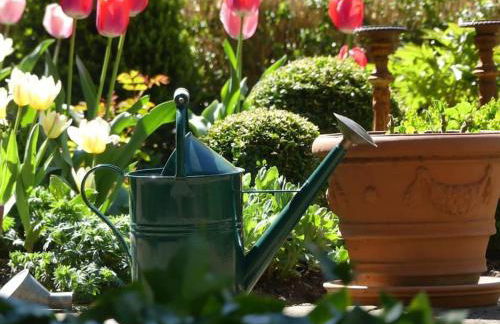 Altes Winzerhaus Lenz - Foto 20