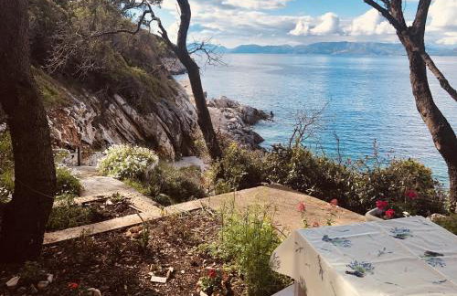 Apartments by the sea Kozarica, Mljet - 4950 - Photo 37